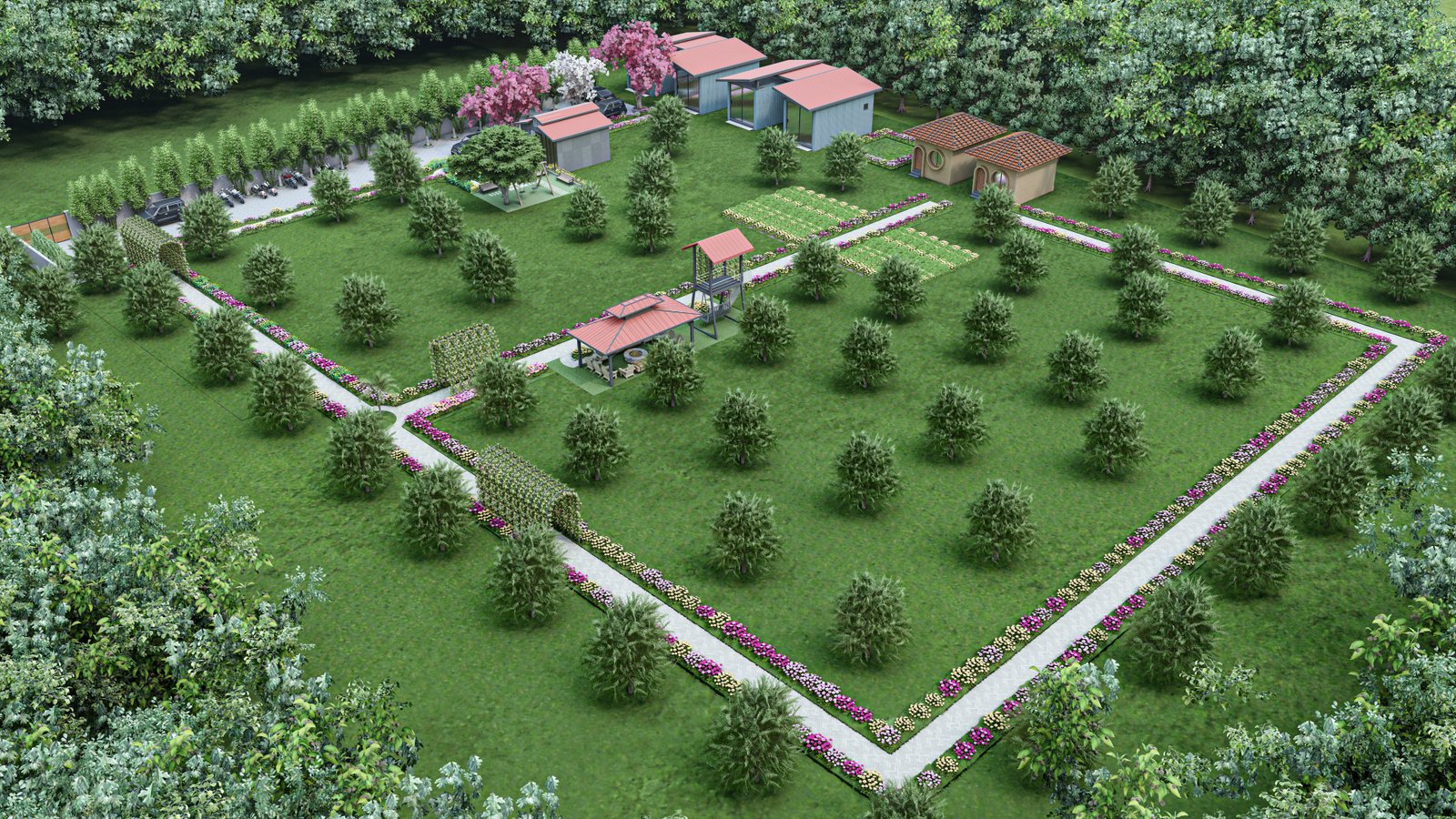 The MeaRoh moringa plantation near Vadodara